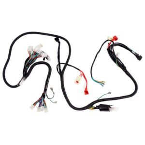 Arnes Completo 12V para IT VITALIA-150 20-24
