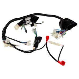 Arnes Completo 12V para VN RYDER 5.0-190 23-24