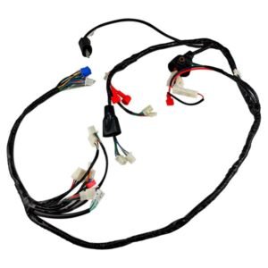 Arnes Completo 12V para VN ATOM-170 23-24
