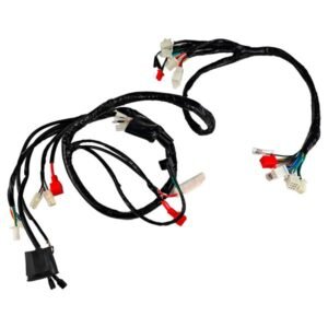 Arnes Completo 12V para VN AXUS-170 23-24