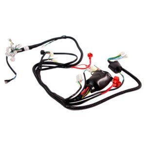 Arnes Completo 12V para VN OVNI-170 24