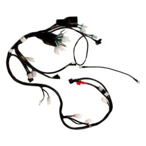 Arnes Completo 12 Vcc para IT ATV-190 24-25