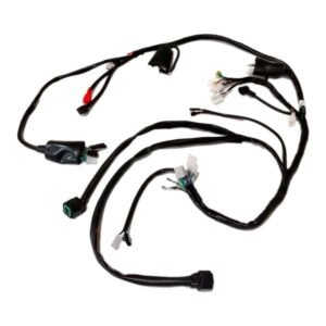 Arnes Completo 12 Vcc para IT ATV-200 20-25