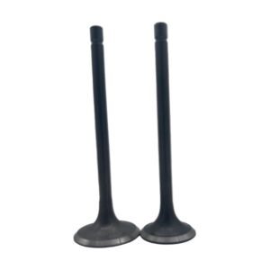 Valvulas Admision y Escape para IT DM-150 10-18 / IT DM-150RO 18
